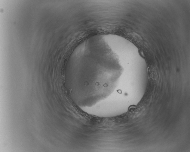 X0000069841009200606021356