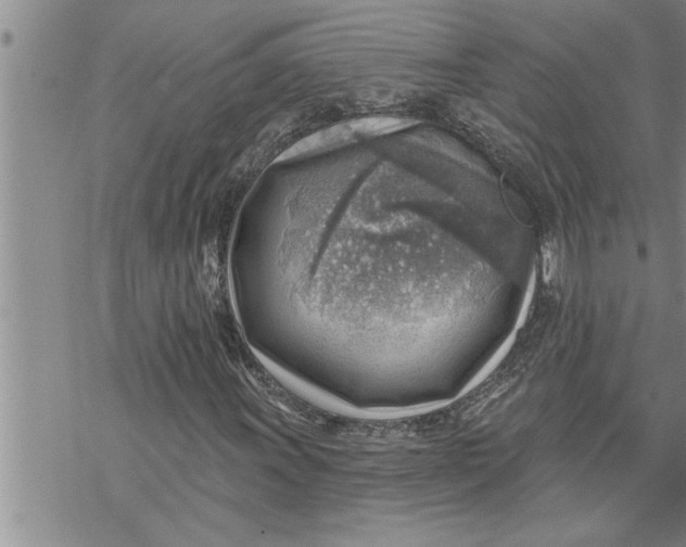 X0000069841011200606021356