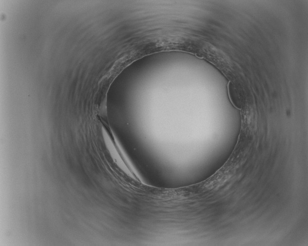 X0000069841012200606021356