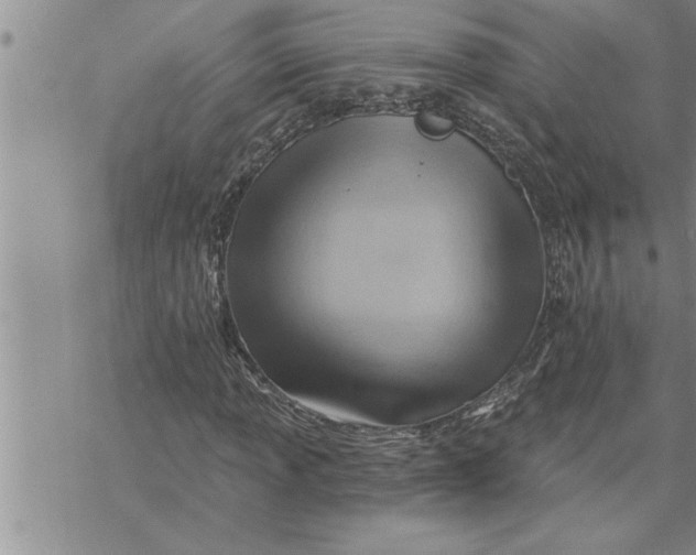 X0000069841013200606021356