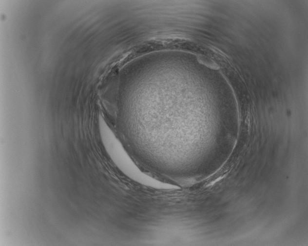 X0000069841014200606021356