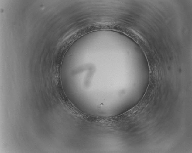 X0000069841015200606021356