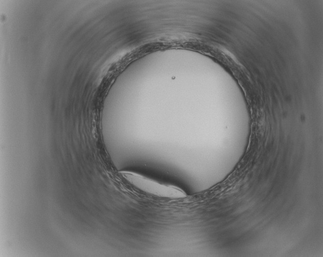 X0000069841016200606021356