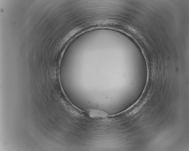 X0000069841017200606021356