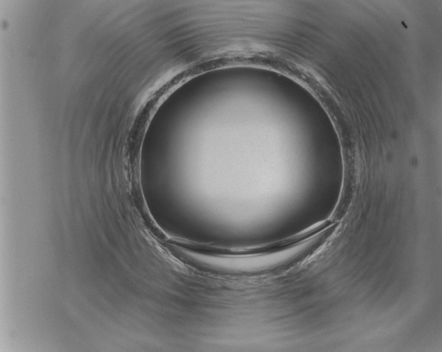 X0000069841018200606021356