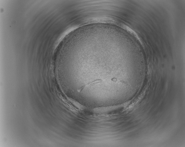 X0000069841019200606021356