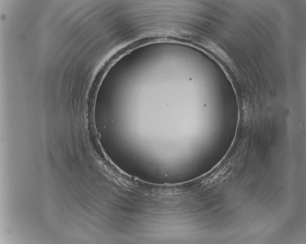 X0000069841020200606021356