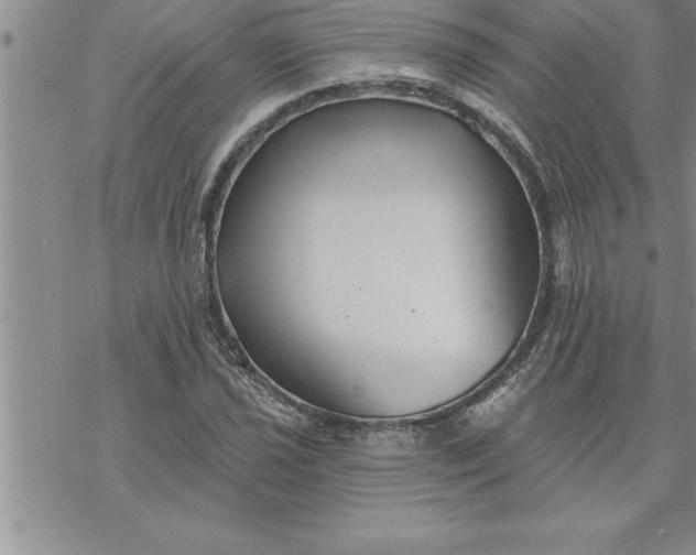 X0000069841021200606021356