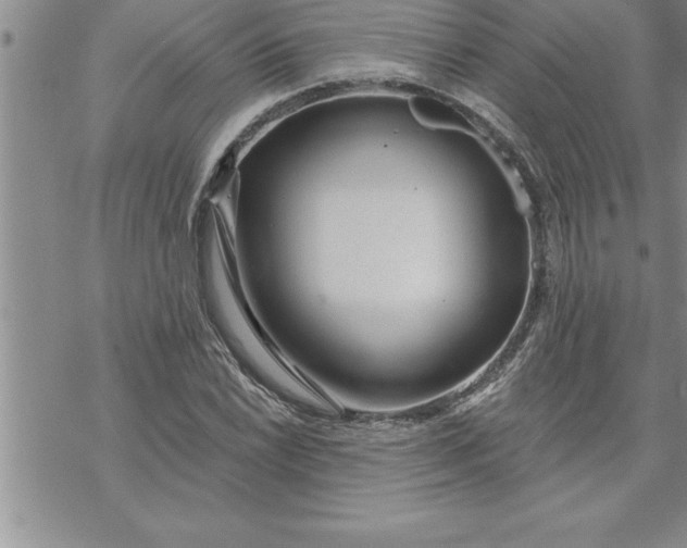 X0000069841022200606021356