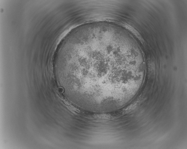 X0000069841023200606021356