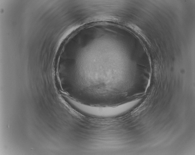 X0000069841024200606021356