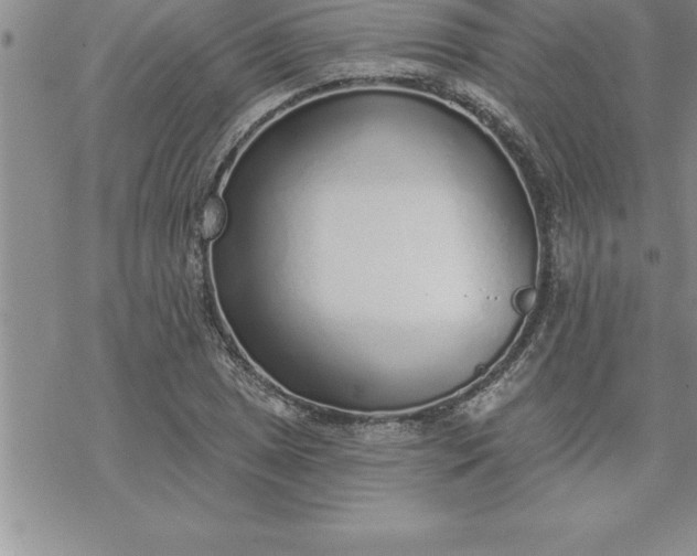 X0000069841025200606021356