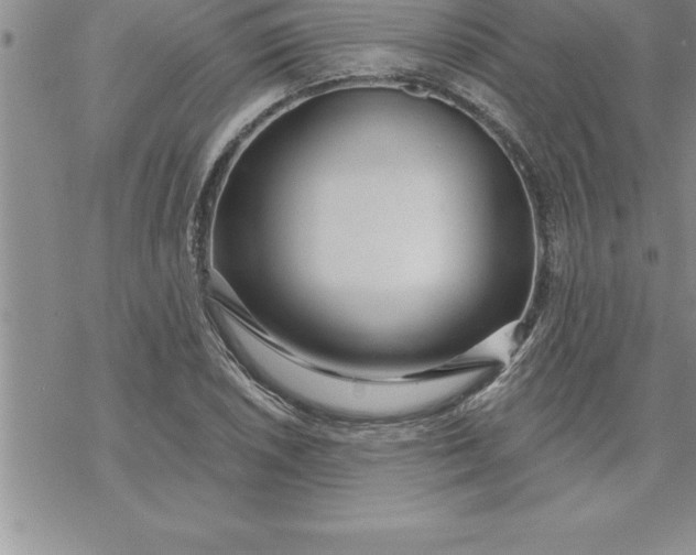 X0000069841026200606021356