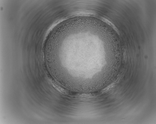 X0000069841027200606021356