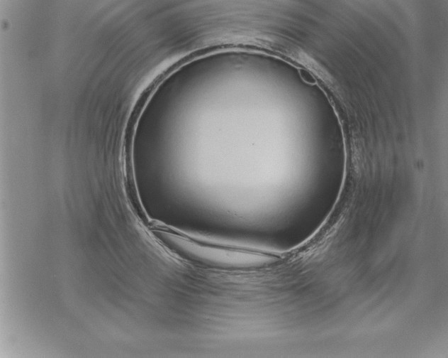 X0000069841028200606021356