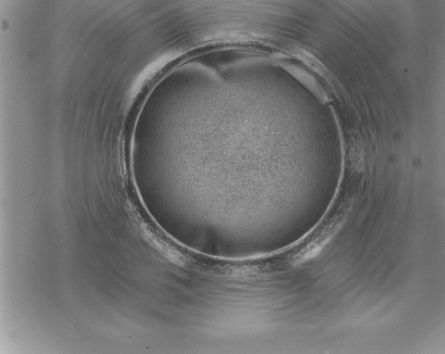 X0000069841030200606021356