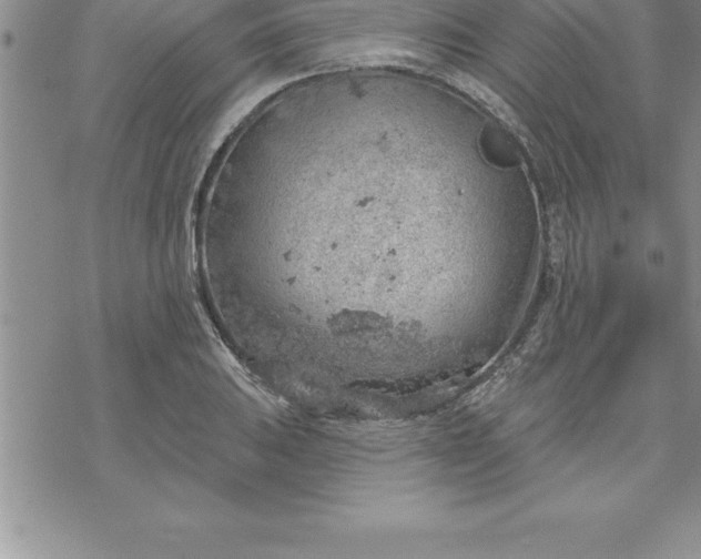 X0000069841031200606021356