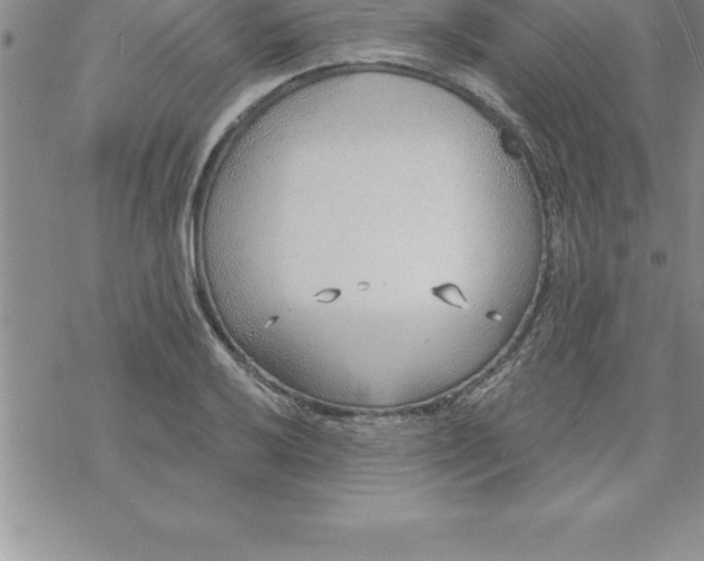 X0000069841032200606021356