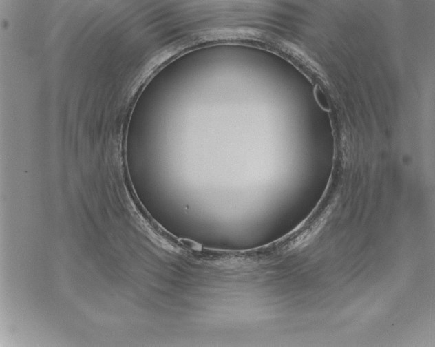 X0000069841033200606021356