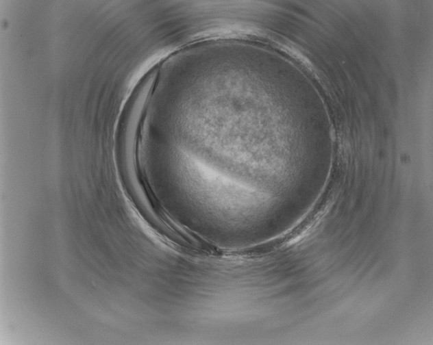 X0000069841034200606021356