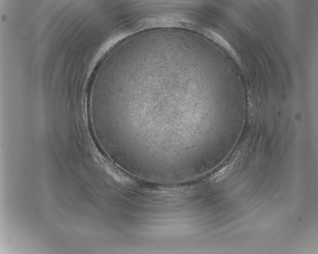 X0000069841035200606021356