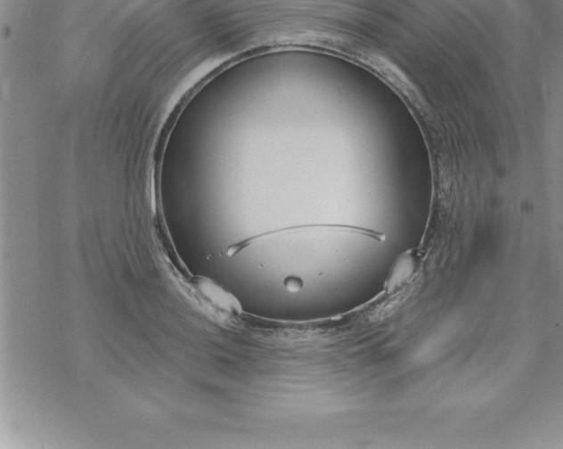 X0000069841036200606021356