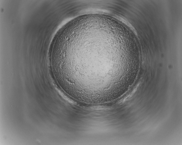 X0000069841037200606021356