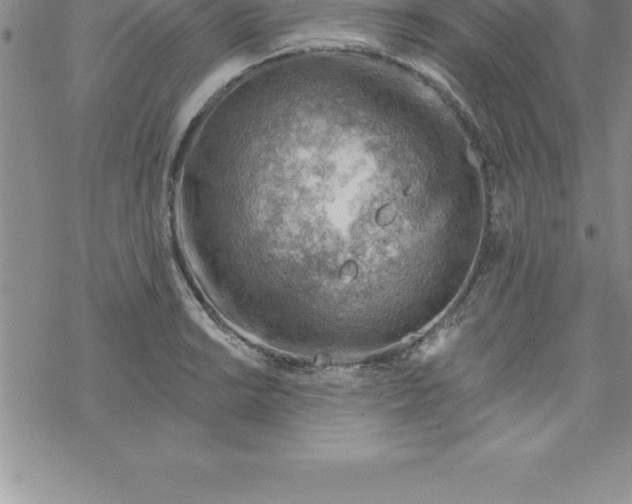 X0000069841038200606021356