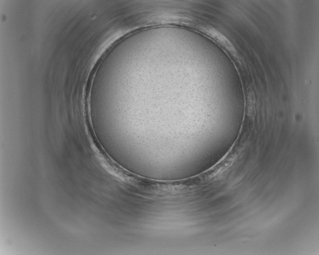 X0000069841039200606021356