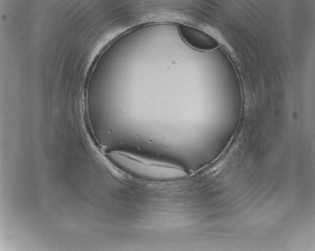 X0000069841040200606021356