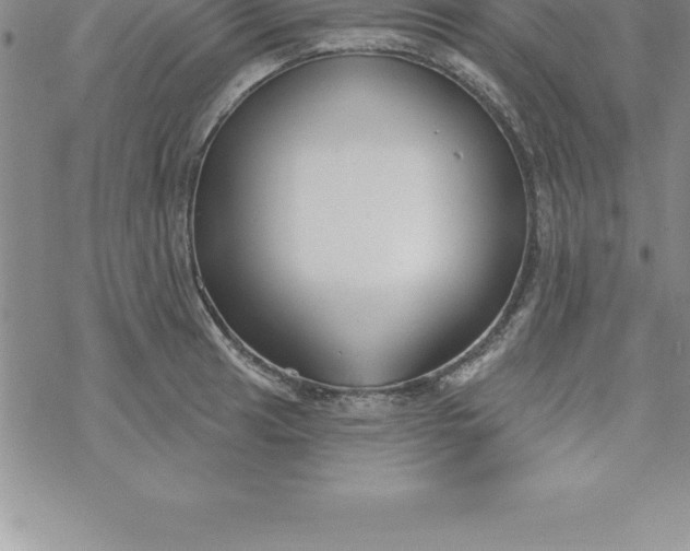 X0000069841041200606021356