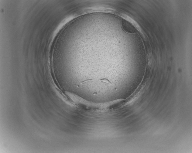 X0000069841043200606021356