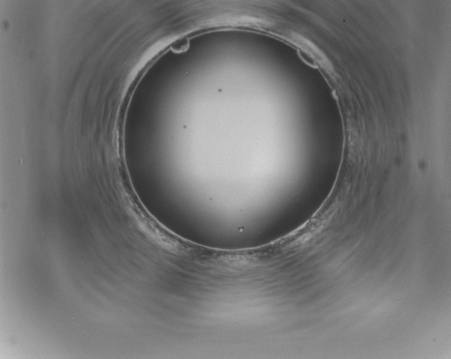 X0000069841044200606021356