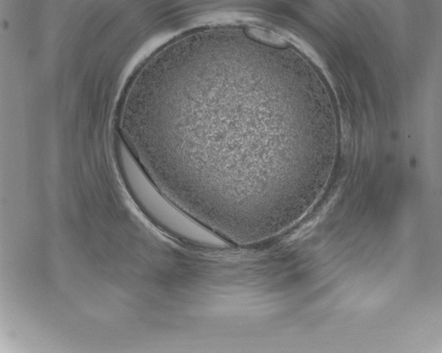 X0000069841045200606021356