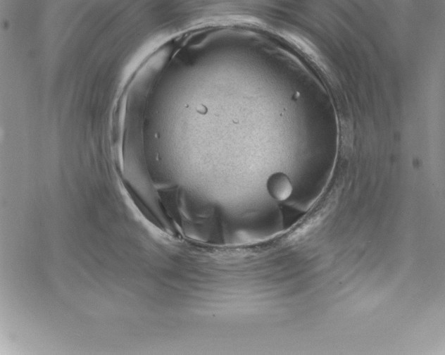 X0000069841046200606021356