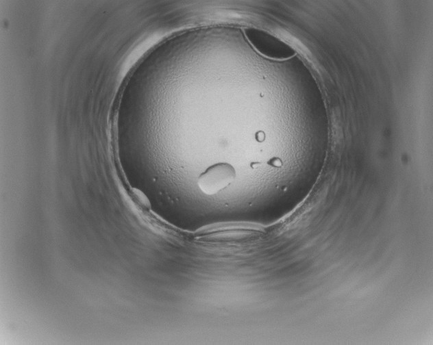 X0000069841047200606021356