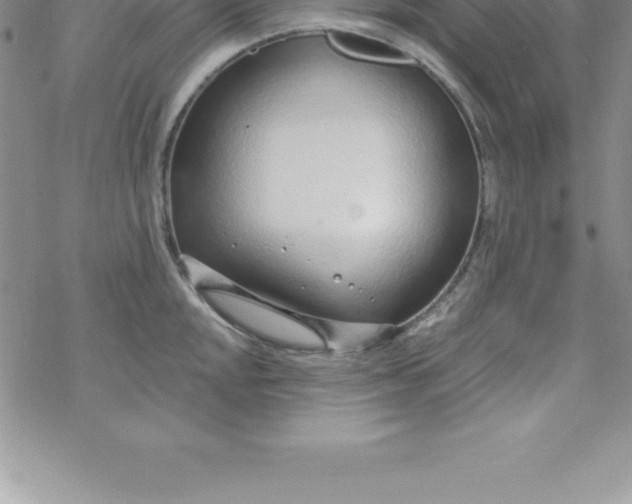 X0000069841048200606021356