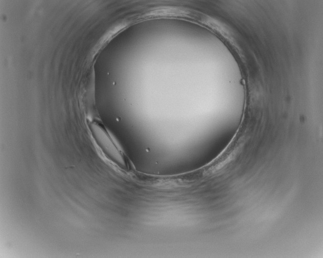 X0000069841049200606021356