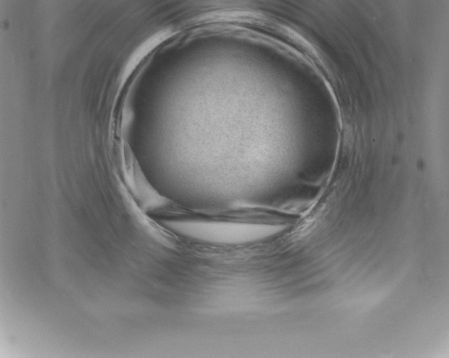 X0000069841050200606021356