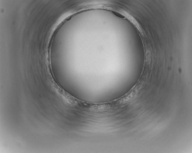 X0000069841051200606021356