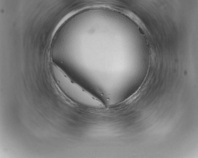 X0000069841052200606021356