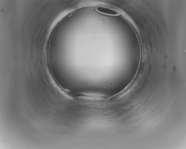 X0000069841053200606021356