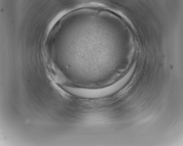 X0000069841054200606021356