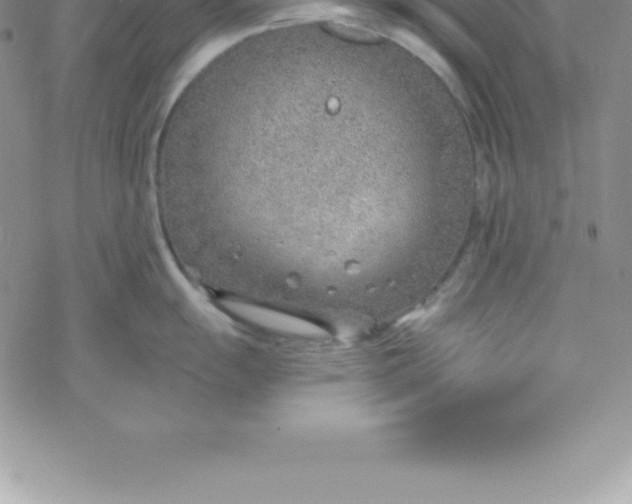 X0000069841055200606021356