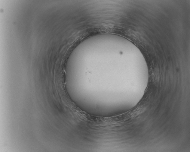 X0000069841057200606021356