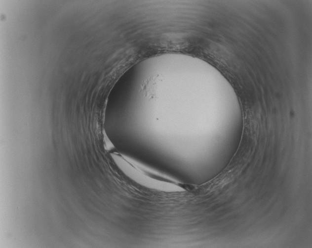 X0000069841058200606021356