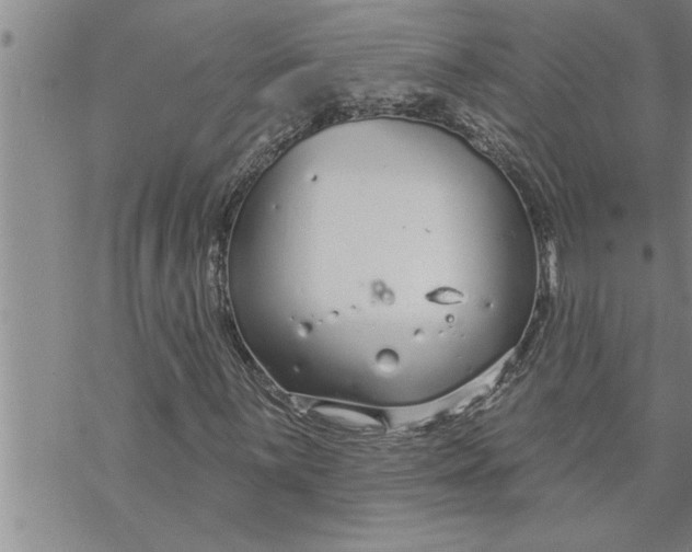 X0000069841059200606021356