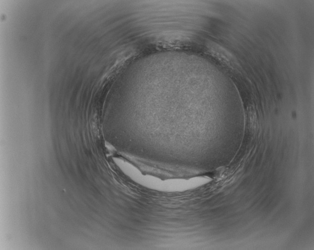 X0000069841060200606021356