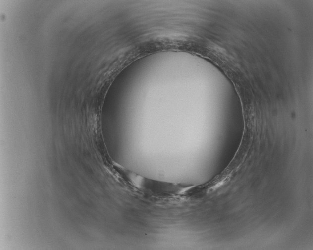 X0000069841061200606021356