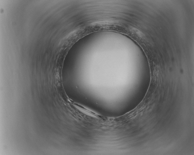 X0000069841062200606021356